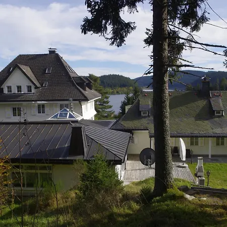 Schwarzwald Vila *