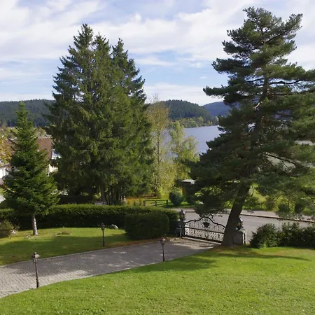 Schwarzwald * Schluchsee