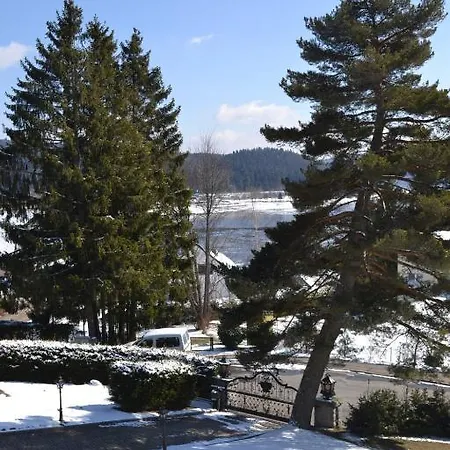 Schwarzwald Schluchsee