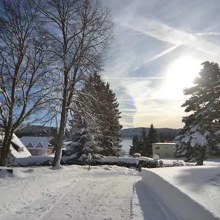 Schwarzwald Schluchsee