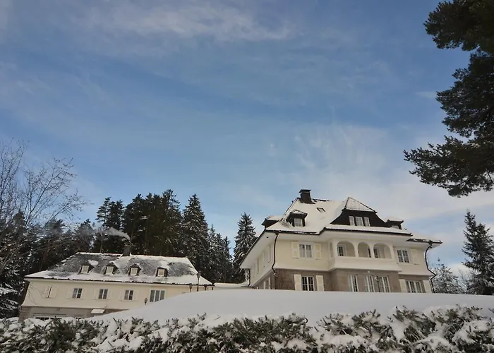 Schwarzwald Schluchsee