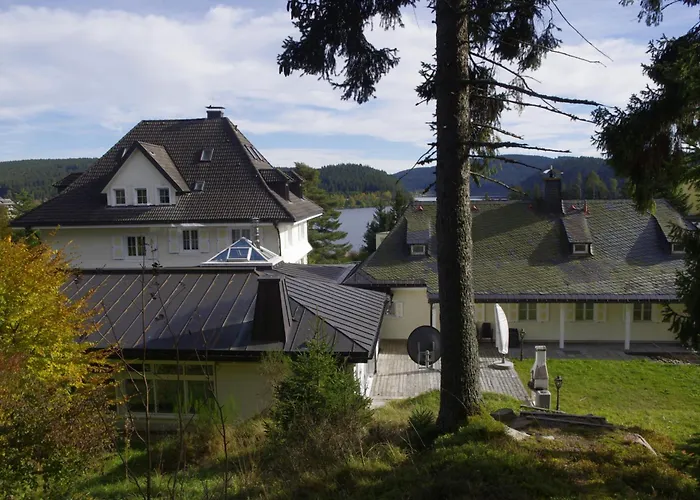 Schwarzwald Vila *
