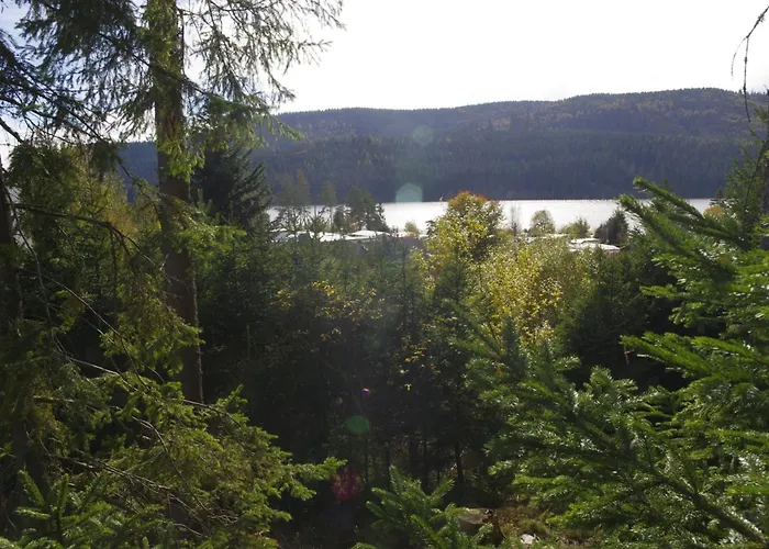 Schwarzwald Villa Schluchsee