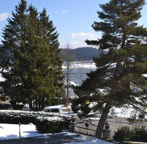 Schwarzwald Schluchsee