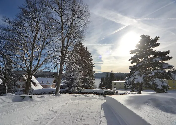 Schwarzwald Schluchsee